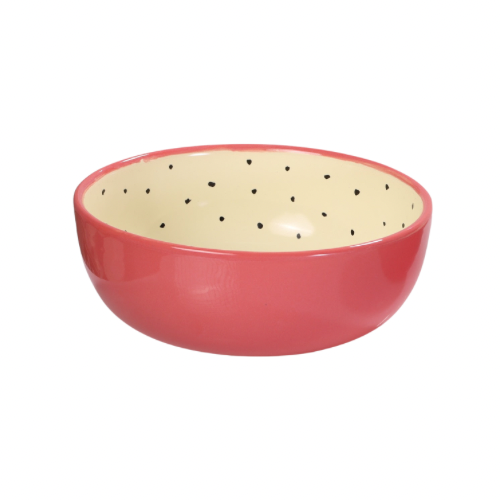 Bowl Pitaya