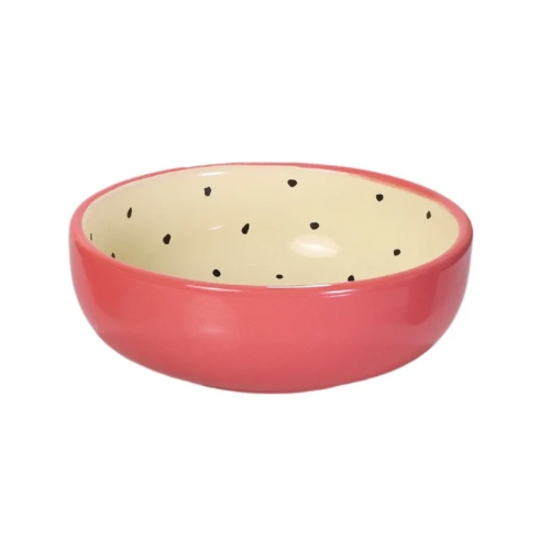 Bowl Pitaya