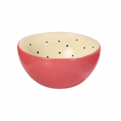 Bowl Pitaya